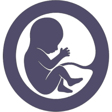 womb-baby-2